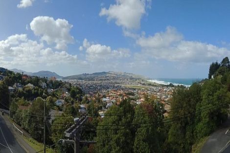 Photo of property in 32 Ravenswood Road, Saint Clair, Dunedin, 9012