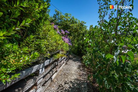 Photo of property in 487 South Road, Calton Hill, Dunedin, 9012