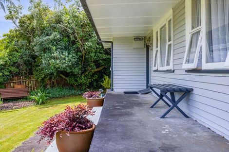 Photo of property in 114 Ariel Street, Stratford, 4332