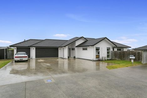 Photo of property in 24 Pengover Avenue, Leamington, Cambridge, 3432