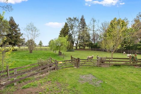 Photo of property in 15 Riverview Lane, Te Aroha, 3320