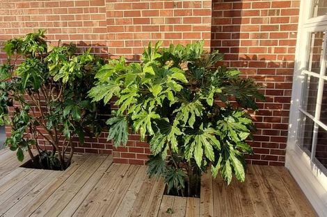 Photo of property in 14 Hare Street, Ilam, Christchurch, 8041