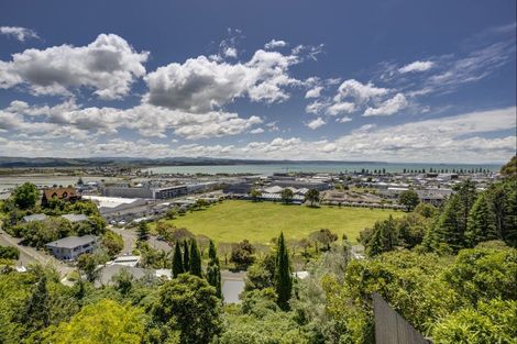 Photo of property in 28 Hospital Terrace, Hospital Hill, Napier, 4110