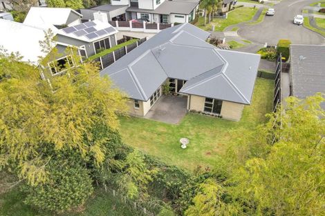 Photo of property in 12 Ruru Place, Levin, 5510