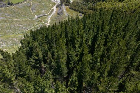 Photo of property in 4573 Shenandoah Highway, Maruia, Reefton, 7077