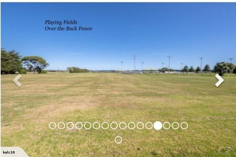 Photo of property in 6 Drake Street, Levin, 5510