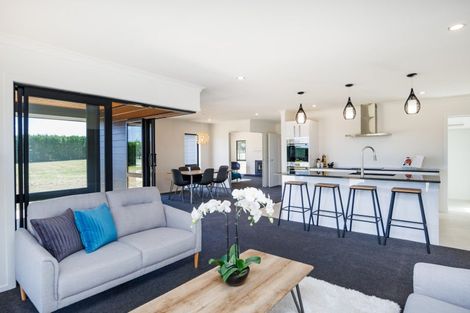 Photo of property in 167 Spur Road West, Colyton, Feilding, 4775