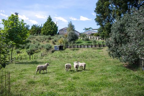 Photo of property in 381 Racecourse Road, Te Awamutu, 3800