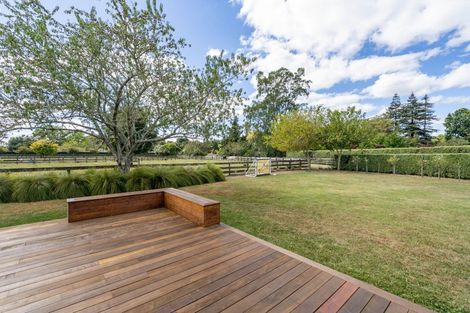 Photo of property in 19 Camdon Place, Tamahere, Hamilton, 3283