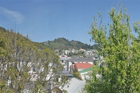 Photo of property in 6 Picton Avenue, Newtown, Wellington, 6021