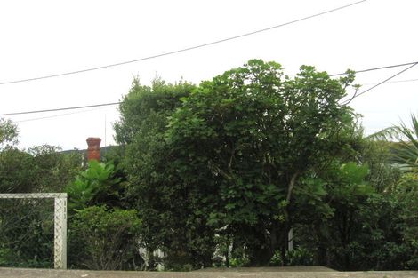 Photo of property in 111 Northland Road, Northland, Wellington, 6012