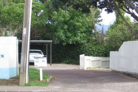 Photo of property in 1/12 Norcross Avenue, Henderson, Auckland, 0612