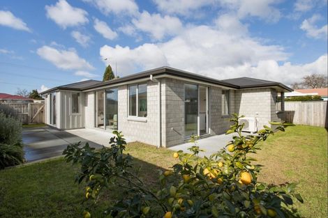 Photo of property in 10a Park Road, Katikati, 3129