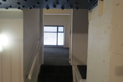 Photo of property in Vicino Apartments, 18/33 Taranaki Street, Te Aro, Wellington, 6011