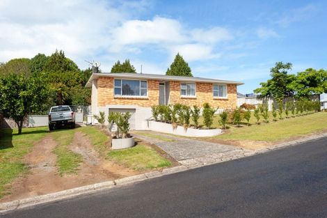 Photo of property in 95 Reservoir Street, Putaruru, 3411