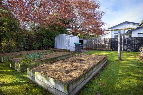 Photo of property in 40 Tancred Street, Geraldine, 7930