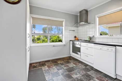 Photo of property in 31 Storey Avenue, Forest Lake, Hamilton, 3200