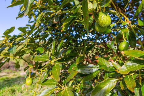 Photo of property in 497b Wainui Road, Raglan, 3297