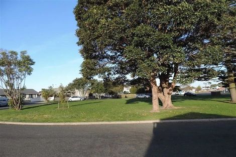 Photo of property in 80a Eversham Road, Mount Maunganui, 3116