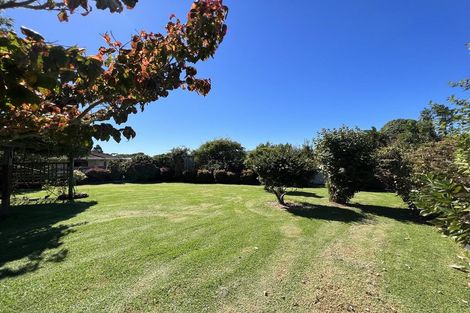 Photo of property in 21 Park Lane, Waitara, 4320