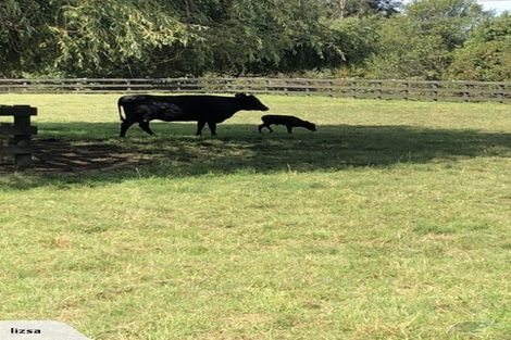 Photo of property in 2253 State Highway 16, Helensville, 0875