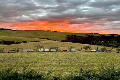 Photo of property in 211c Cable Bay Block Road, Cable Bay, 0420