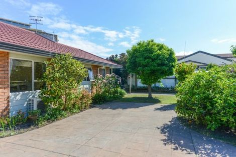 Photo of property in 13a Kennedy Road, Napier South, Napier, 4110