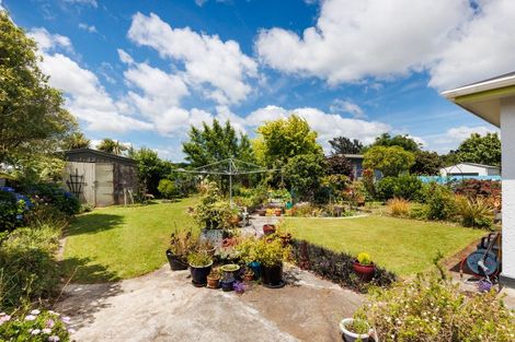 Photo of property in 87 Stortford Street, Ashhurst, 4810