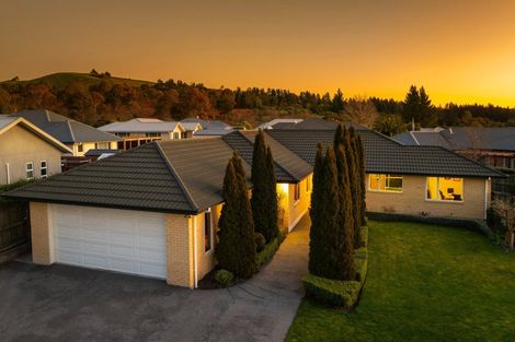 Photo of property in 64 Hillcrest Avenue, Witherlea, Blenheim, 7201