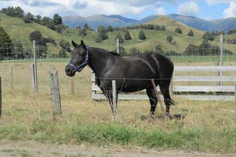 Photo of property in 21 Kelpie Road, Rangiwahia, Kimbolton, 4774