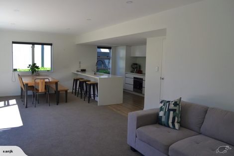 Photo of property in 64 Purchas Street, St Albans, Christchurch, 8014