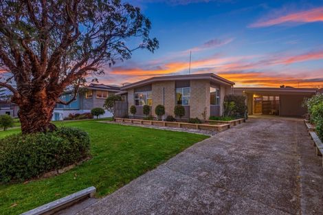 Photo of property in 35 Terry Crescent, Milson, Palmerston North, 4414