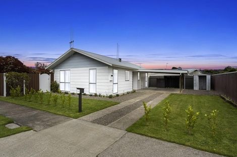 Photo of property in 51 Rimu Street, Levin, 5510