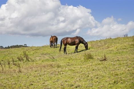 Photo of property in 71b Taiapa Valley Road, Muriwai, 0881