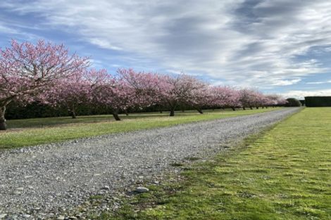 Photo of property in 805 Downs Road, Eyrewell, Rangiora, 7476