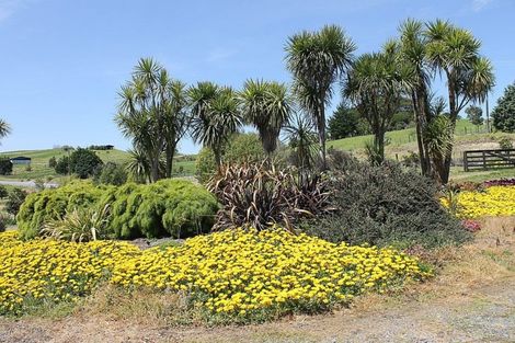 Photo of property in 352 Heatley Road, Whakapirau, Maungaturoto, 0583