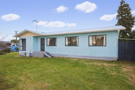 Photo of property in 23 Douglas Street, Levin, 5510