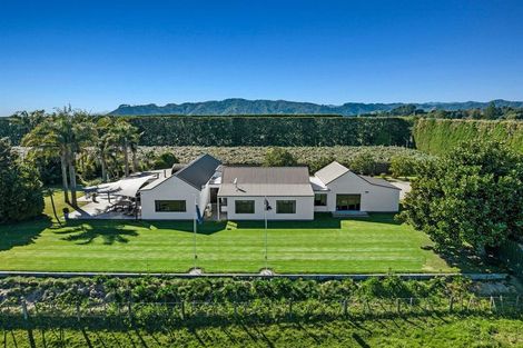 Photo of property in 304 Tablelands Road, Tirohanga, Opotiki, 3197