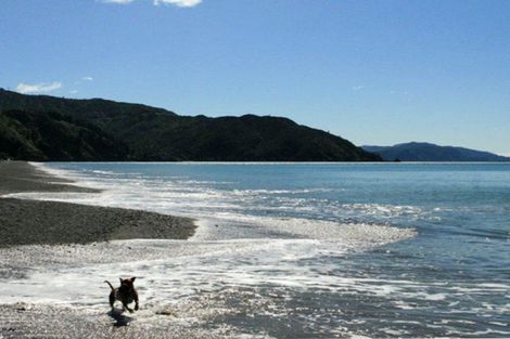 Photo of property in 214 Rarangi Beach Road, Rarangi, Blenheim, 7273