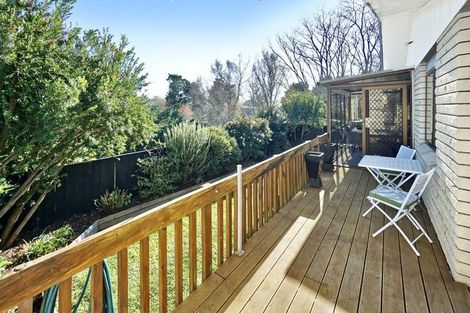 Photo of property in 5d Cameron Road, Te Puke, 3119