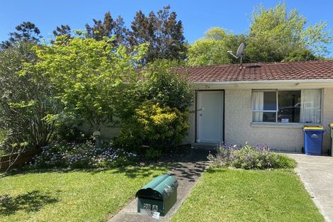 Photo of property in 2/28 Morton Avenue, Forrest Hill, Auckland, 0620