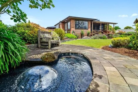 Photo of property in 1 Windsor Street, Springfield, Rotorua, 3015