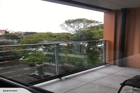 Photo of property in 502/10 Lion Place, Epsom, Auckland, 1023