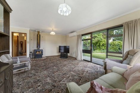 Photo of property in 19 Wicklow Street, Cromwell, 9310