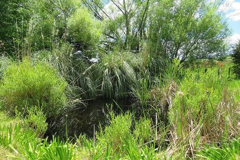 Photo of property in 605 Whakapirau Road, Whakapirau, Maungaturoto, 0583