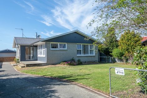 Photo of property in 19 Grove Street, Tinwald, Ashburton, 7700