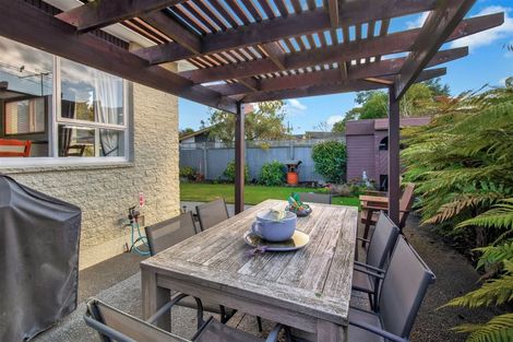 Photo of property in 57 Hope Street, Shirley, Christchurch, 8013