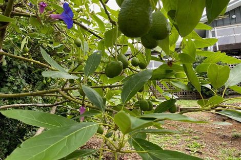 Photo of property in 46 Rangitane Loop Road, Kerikeri, 0294