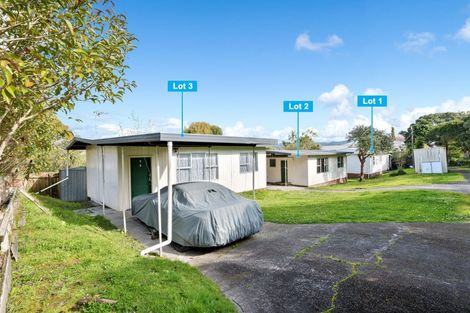 Photo of property in 1/60a View Road, Henderson, Auckland, 0612
