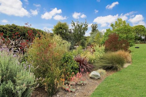 Photo of property in 24 Bergin Road, Foxton, 4814